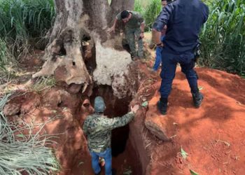 Investigan excavación clandestina dentro de una estancia en San Estanislao