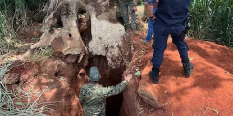 Investigan excavación clandestina dentro de una estancia en San Estanislao