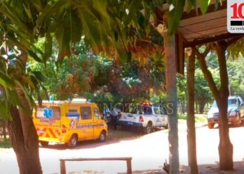 Hombre fallece tras ser atacado por avispas en Luque