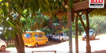 Hombre fallece tras ser atacado por avispas en Luque