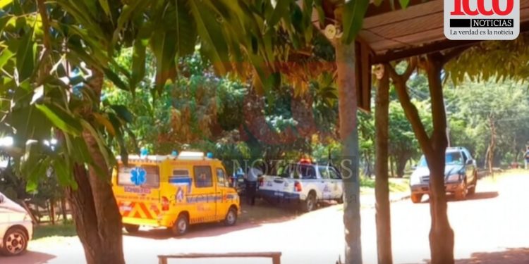 Hombre fallece tras ser atacado por avispas en Luque