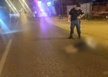 Trabajador del Mercado de Abasto muere atropellado por un conductor que se dio a la fuga