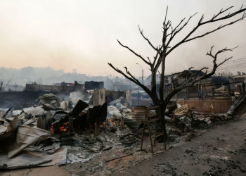 Fuego sin control en Chile: se decretó estado de catástrofe