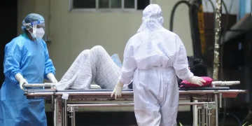 OMS: «bajo» riesgo, pero vigilancia por virus Nipah en Asia