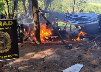 SENAD abre operativos contra cultivos ilícitos en el norte del país