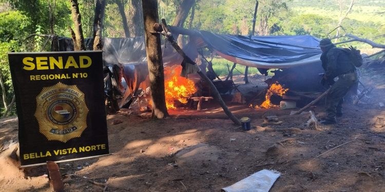 SENAD abre operativos contra cultivos ilícitos en el norte del país