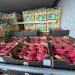 Paraguay concreta su primera exportación de pitahaya a Uruguay