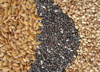 Ganancias del Sésamo y la Chía podrían beneficiar a 30.000 familias con Acuerdo UE-Mercosur