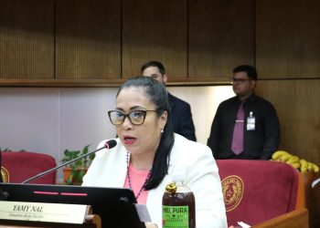 Yamy Nal busca recuperar su banca en el Senado