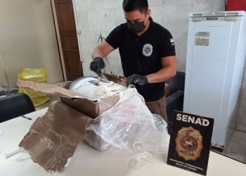 SENAD detecta marihuana de alto contenido de THC proveniente de Miami