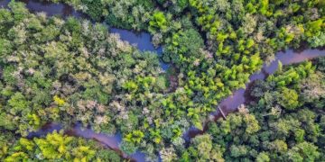 Invitan a participar del Paraguay Carbón Forum 2026, encuentro internacional sobre mercados de carbono