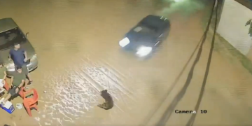 Siniestro vial cobró la vida de un abuelo y su perro