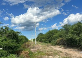 ANDE habilitó nueva línea tras años de reclamos por cortes en el Chaco