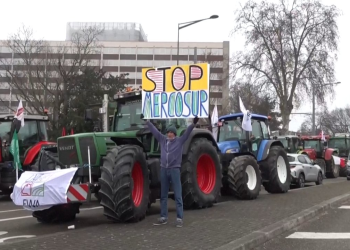 Eurocámara paralizó acuerdo con el Mercosur y lo envía a la Justicia europea