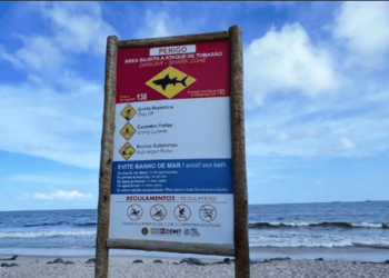 Menor de 13 años murió atacado por un tiburón en playa brasileña