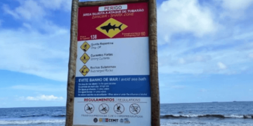 Menor de 13 años murió atacado por un tiburón en playa brasileña
