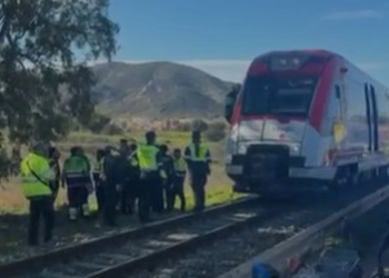 Un tren de pasajeros chocó contra una grúa y dejó varios heridos en España