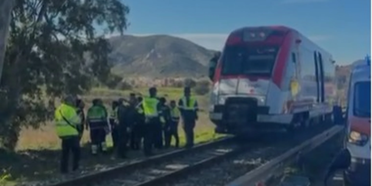 Un tren de pasajeros chocó contra una grúa y dejó varios heridos en España