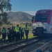 Un tren de pasajeros chocó contra una grúa y dejó varios heridos en España
