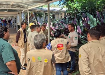 Cooperación Paraguay–Brasil refuerza acciones contra las arbovirosis