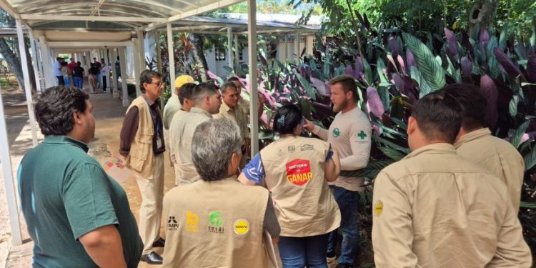 Cooperación Paraguay–Brasil refuerza acciones contra las arbovirosis