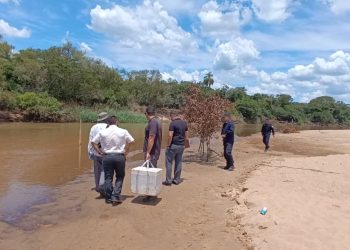 Río Tebicuary: Fiscalía investiga supuesta mortandad de peces