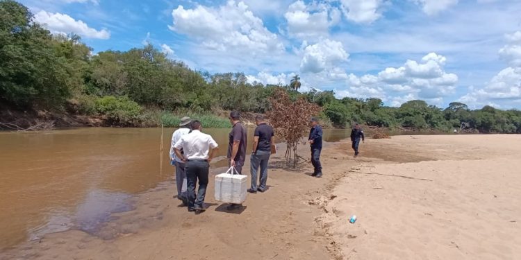 Río Tebicuary: Fiscalía investiga supuesta mortandad de peces