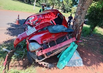 Habría intentado esquivar un perro, chocó contra un árbol y perdió la vida