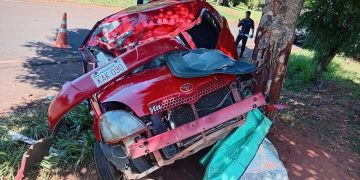 Habría intentado esquivar un perro, chocó contra un árbol y perdió la vida