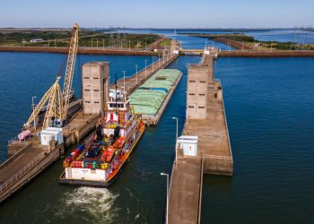 Exportaciones paraguayas bajo certificado de origen superaron los USD 530 millones en enero