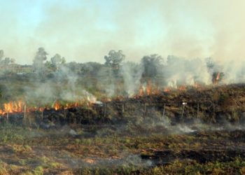 Numerosos incendios en puntos del país con varias compañías de Bomberos interviniendo
