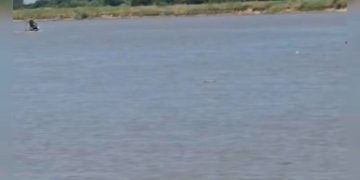 Rescatan a un hombre y buscan a otro desaparecido en el río Paraguay, en Lambaré