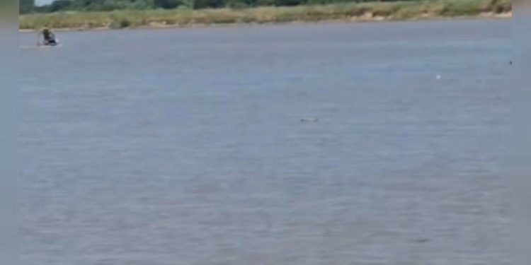 Rescatan a un hombre y buscan a otro desaparecido en el río Paraguay, en Lambaré