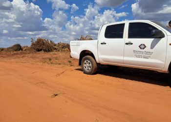 Allanan inmueble en Mariscal López en combate a delitos contra el medio ambiente 