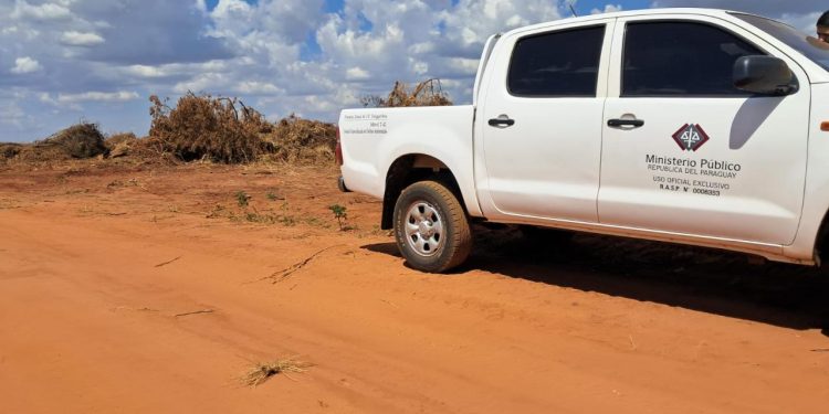 Allanan inmueble en Mariscal López en combate a delitos contra el medio ambiente 