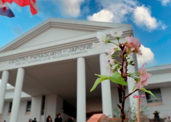 El CPJ prepara un 2026 con amplia oferta académica y una nutrida agenda cultural