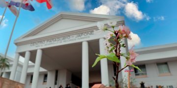 El CPJ prepara un 2026 con amplia oferta académica y una nutrida agenda cultural