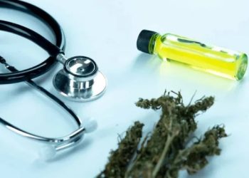 Paraguay actualiza la regulación del cannabis medicinal y amplía su uso terapéutico