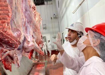 Carne bovina y ovina paraguaya, al mercado de Uzbekistán