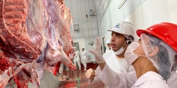 Carne bovina y ovina paraguaya, al mercado de Uzbekistán