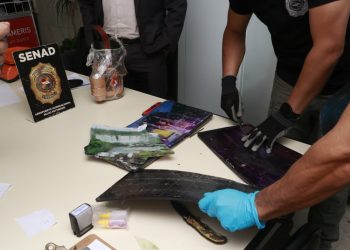 Detectan cocaína negra oculta en cuadros artísticos con destino a Australia