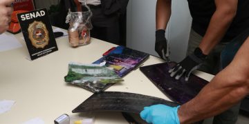 Detectan cocaína negra oculta en cuadros artísticos con destino a Australia