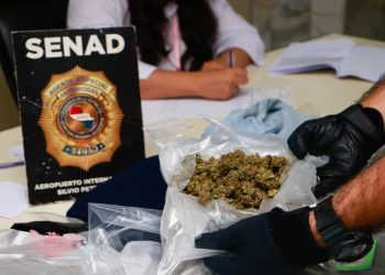 Detectan más de 3 kilos de marihuana en paquetes provenientes de Estados Unidos