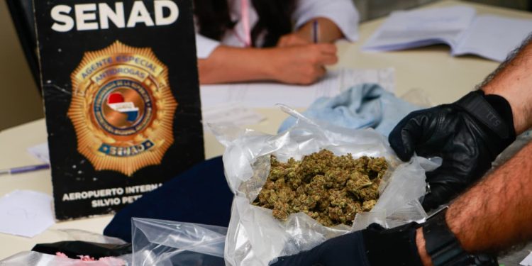 Detectan más de 3 kilos de marihuana en paquetes provenientes de Estados Unidos