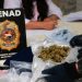 Detectan más de 3 kilos de marihuana en paquetes provenientes de Estados Unidos