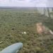 Fuerza Aérea Paraguaya repelió a tiros a presunta «narcoavioneta» boliviana