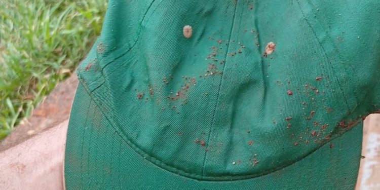 Hallan kepis de niño arrastrado por raudal en San Lorenzo