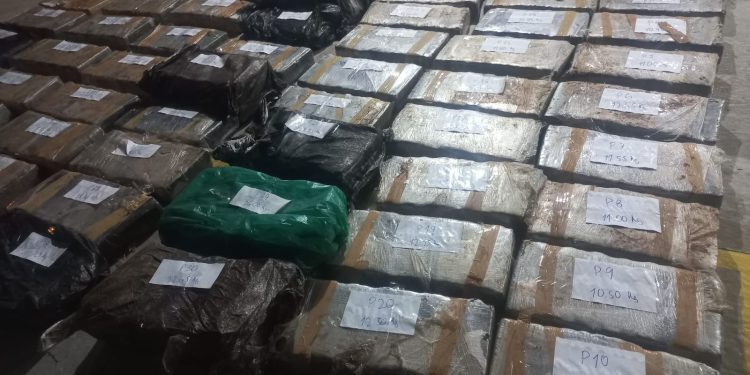 Incautan 960 kilos de marihuana en Ñeembucú