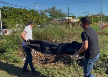 Investigan presunto homicidio en Concepción