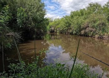 Hombre y una mujer son imputados por presunta muerte de un compañero de pesca